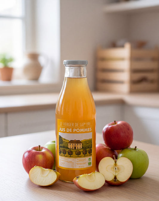 Le verger de Lapeyre Jus de pommes 100cL
